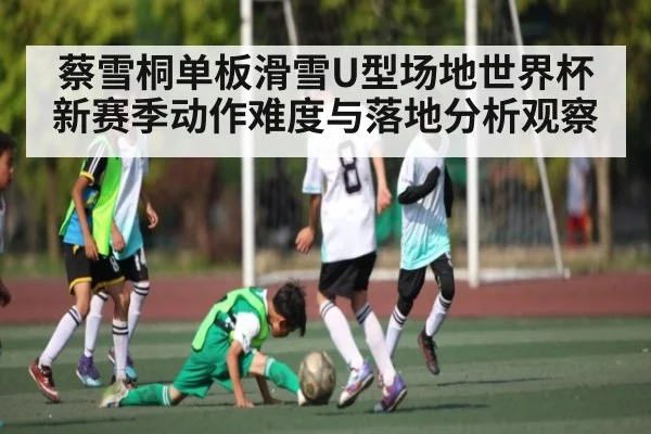 蔡雪桐单板滑雪U型场地世界杯新赛季动作难度与落地分析观察